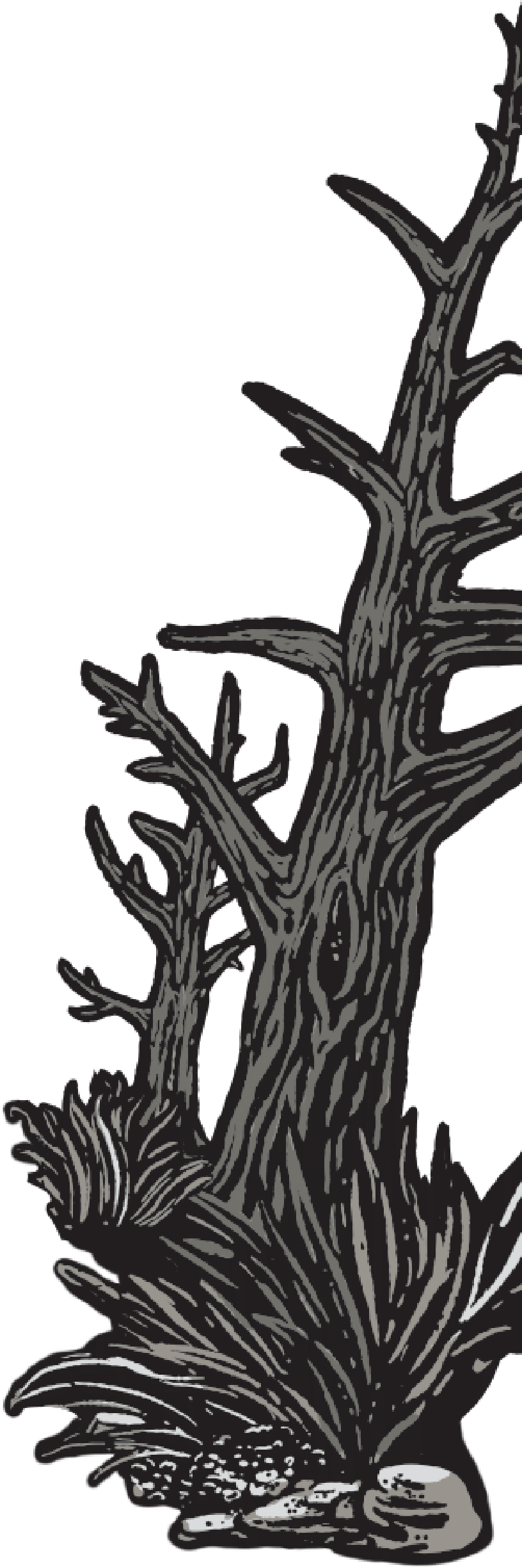 Devil Road Whiskey tree logo